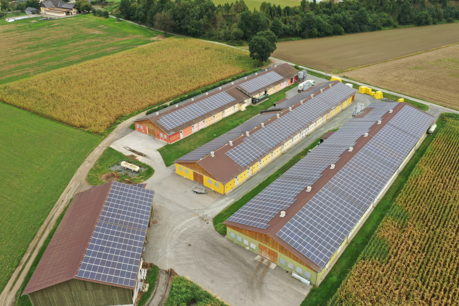 PV Reinigung in Österreich