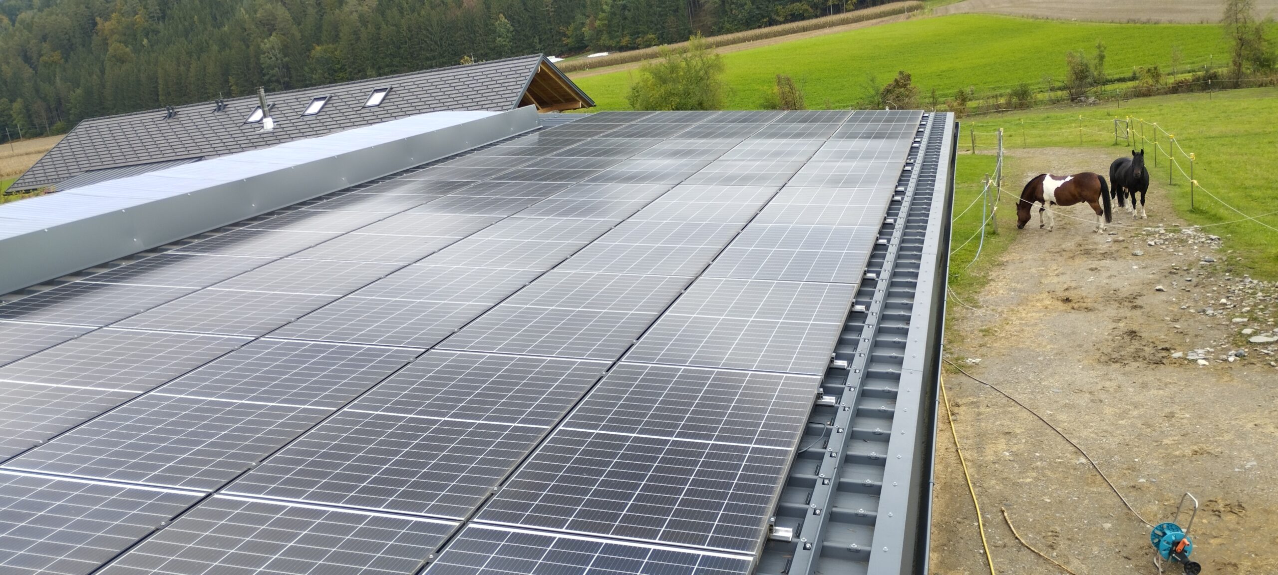 PV Reinigung Pferdestall