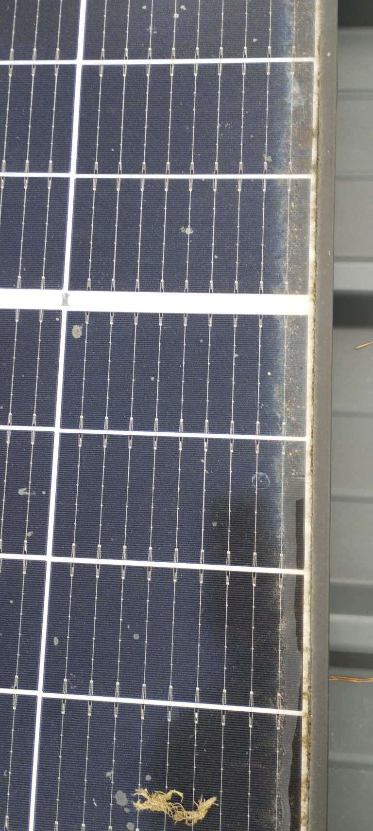 PV Reinigung Pferdestall