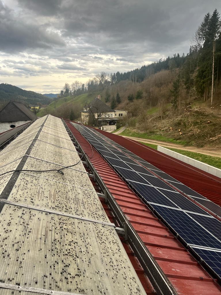 Photovoltaik Reinigung