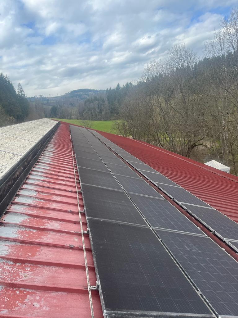 PV Reinigung in Kärnten